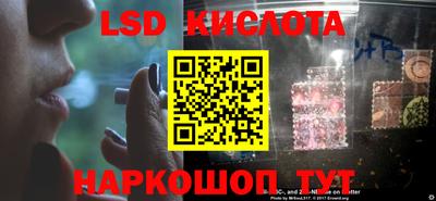 дживик Можга