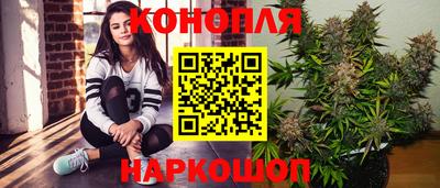 дживик Можга