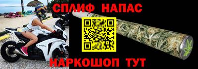 дживик Можга