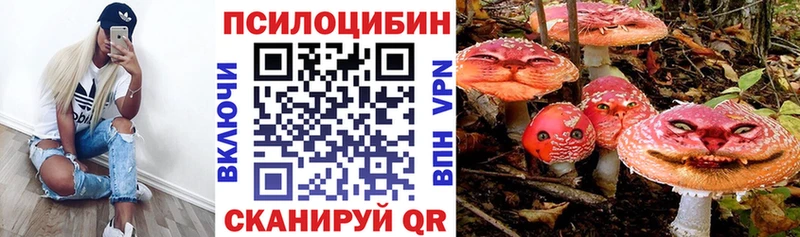 Галлюциногенные грибы Cubensis  Великий Новгород 
